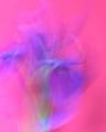 Iris Fantasy
