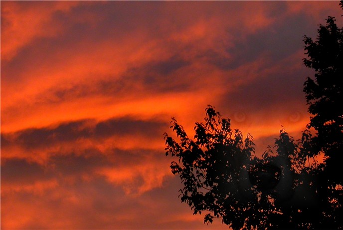 sky eyes 2 thumbnail.jpg