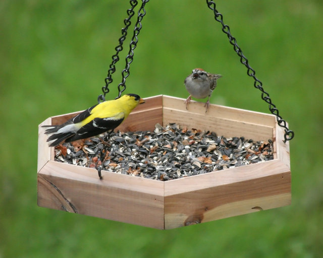 Sharing Breakfast