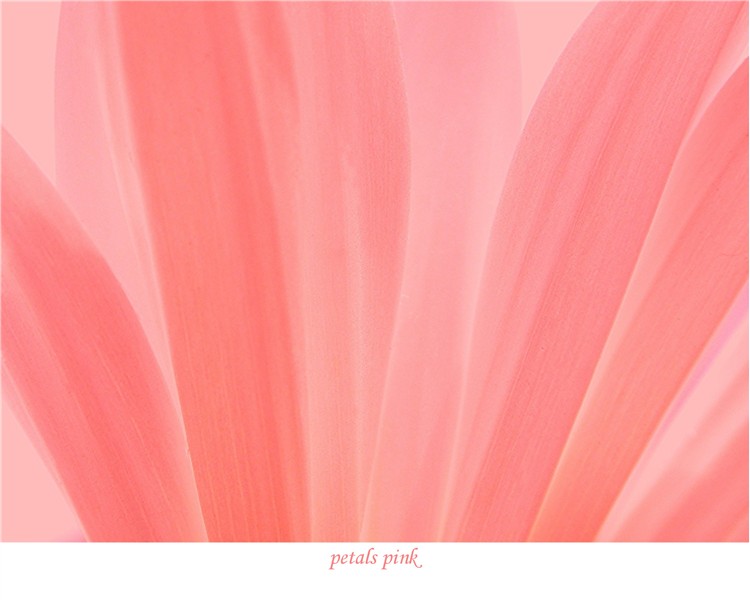 upload petals pink final jpg.jpg