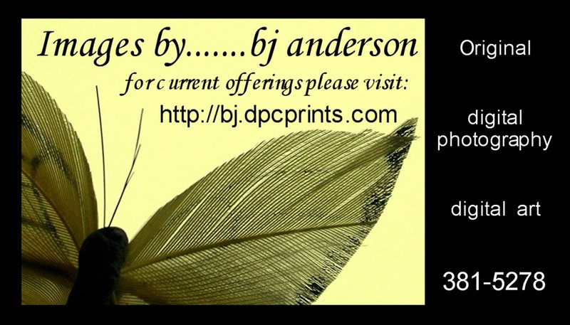 business card.jpg