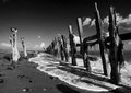 Spurn-Defences-cm.jpg