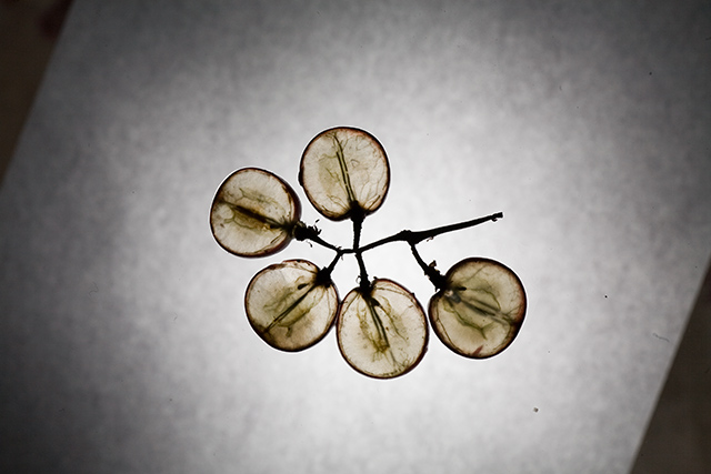 grapes-out-take.jpg