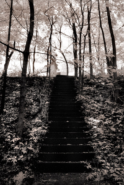 Ascension (Infrared)