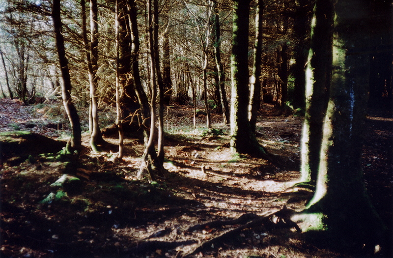 18_sml