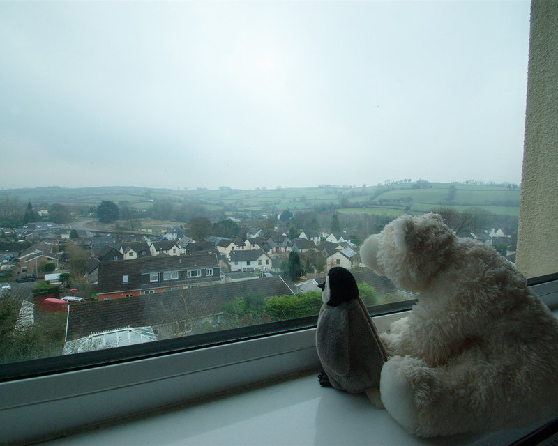 Watching the world go by
