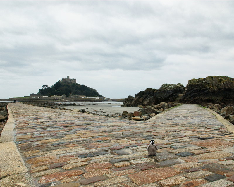 On the causeway