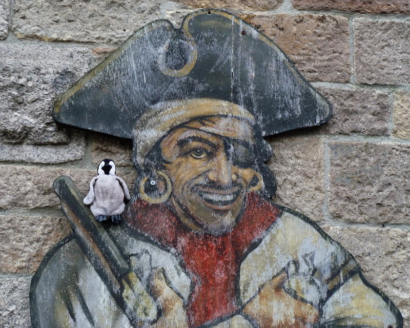 Lost the Parrot???