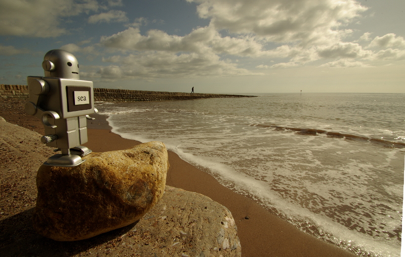 I must go down to the sea again...