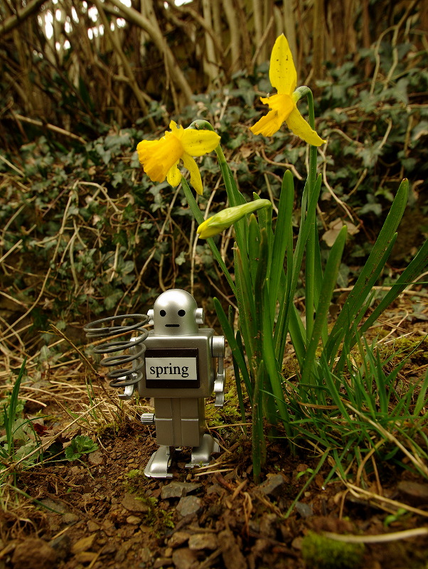 Spring has sprung