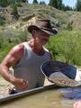 Gold Miner