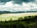 Montana Landscape
