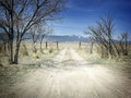 Arid Dirt Road