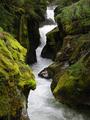 Avalanche Gorge - Glacier National Park
