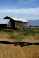 Barbed Wire & Barn