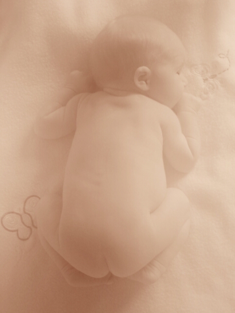 Baby