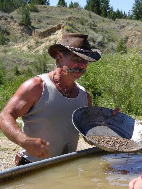 Gold Miner