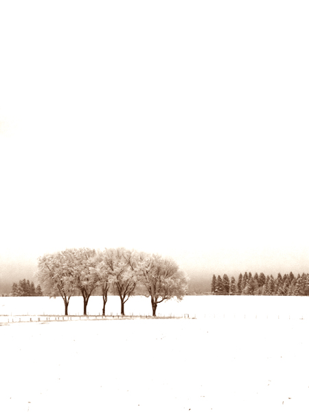 Five Winter White