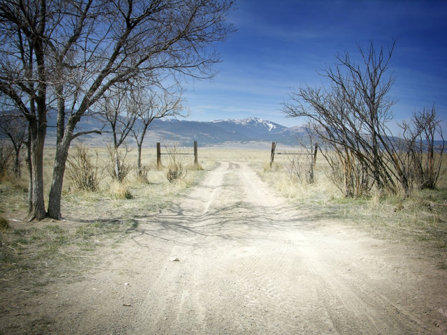 Arid Dirt Road