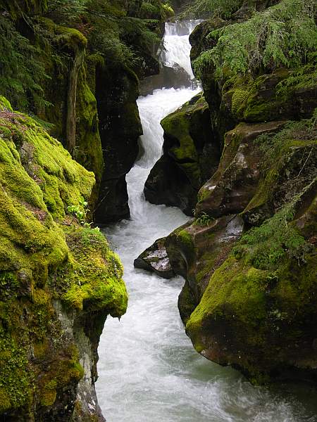 Avalanche Gorge - Glacier National Park