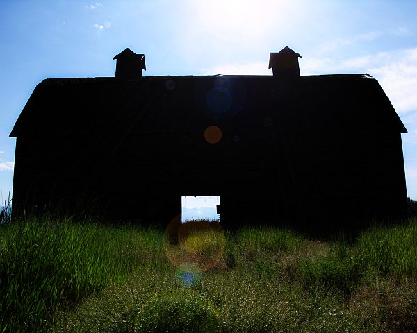 Barn Silhouette