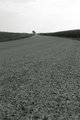20050923061058_road.jpg