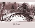 The Bridge
