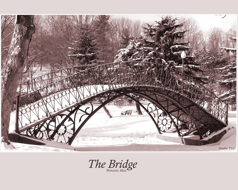The Bridge