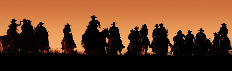 Saddle Up.jpg