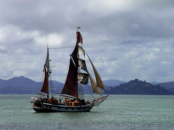 San Fran Sailboat.jpg