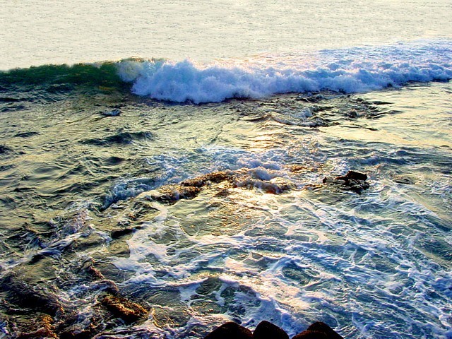 The Pacific