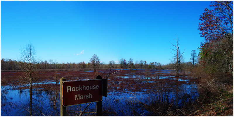 Rockhouse Marsh