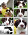 Riley Collage 2