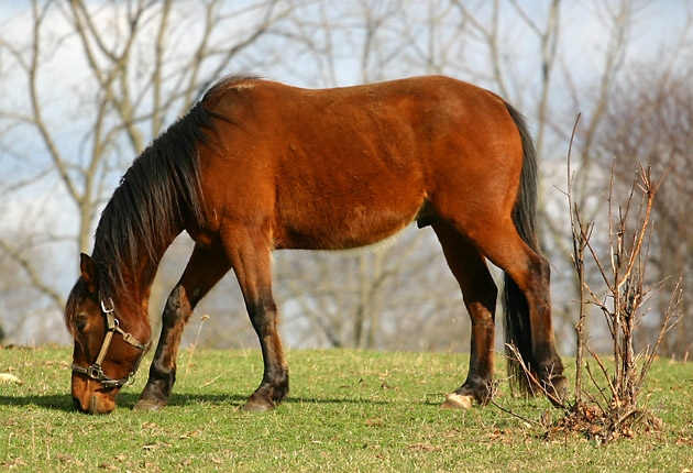 test8.jpg