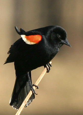 test222.jpg