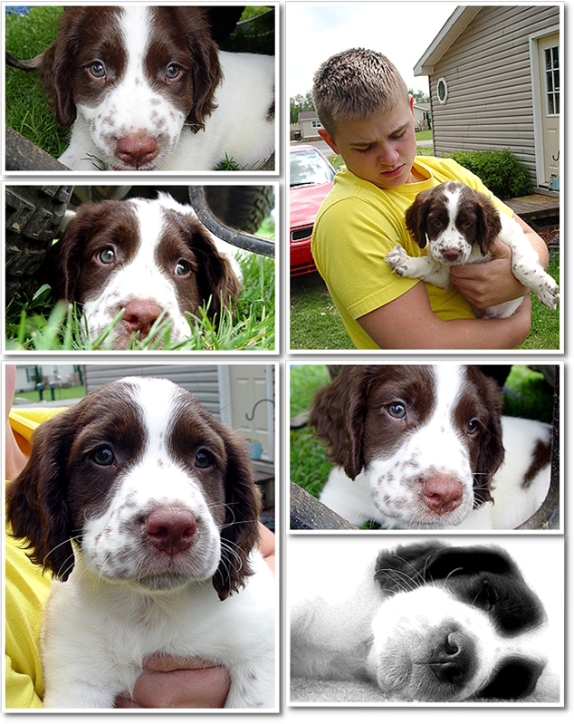 Riley Collage 1