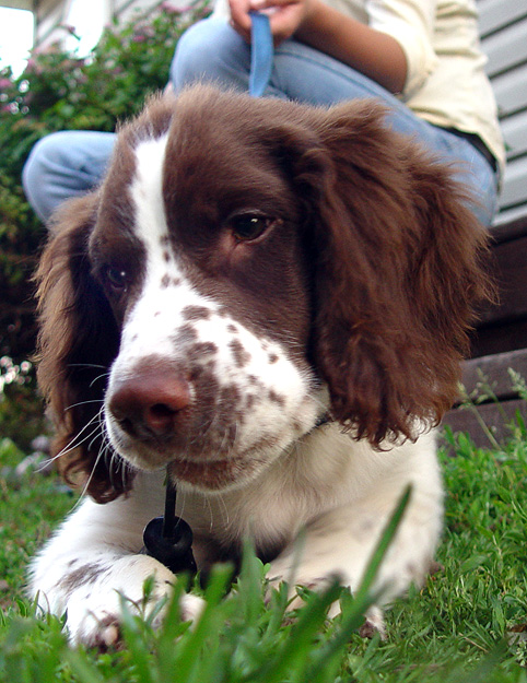 Riley @ 3 months