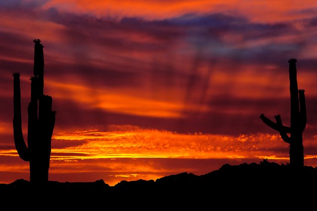 May Sunset