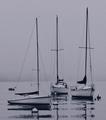 Sailboats II