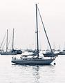 2EP8020051NR_filWEB.jpg