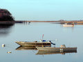 P1100016 copy.jpg