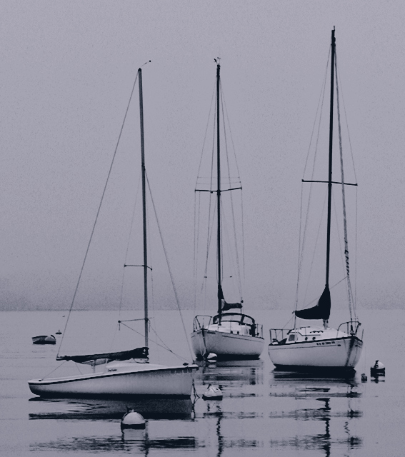 Sailboats II