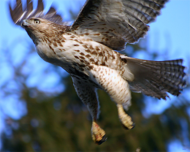 Lift Off!