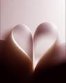 Fragile Heart (Borderless)