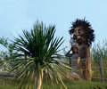 Lion King