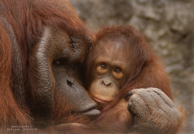 Hugging Daddy