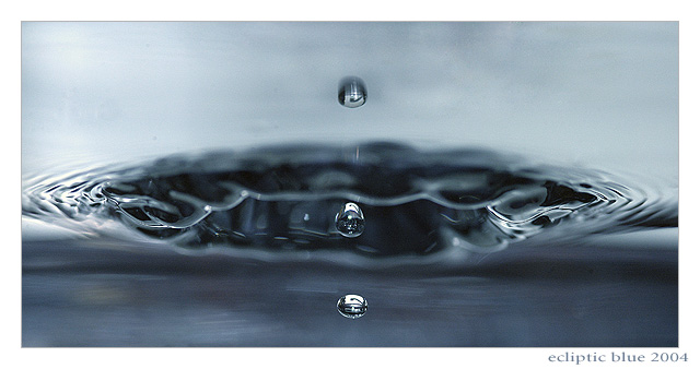 Vortex