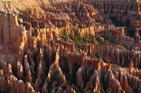 Hoodoos in Bryce Canyon