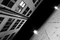 New Perspective