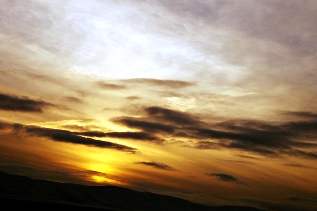DSC_5687.jpg